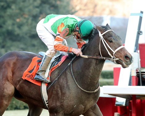 Bob's Edge wins 2022 King Cotton Stakes at Oaklawn Park Bob's Edge wins 2022 King Cotton Stakes at Oaklawn Park