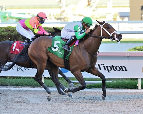 Gatsby wins the 2022 Sunshine Sprint Stakes at Gulfstream Park Gatsby wins the 2022 Sunshine Sprint Stakes at Gulfstream Park