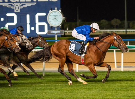 Naval Crown (Charlie Appleby - William Buick) wins Al Fahidi Fort Presented By Mina By Azizi JANUARY 21, 2022– 1400m, Turf race Naval Crown (Charlie Appleby - William Buick) wins Al Fahidi Fort Presented By Mina By Azizi JANUARY 21, 2022– 1400m, Turf race