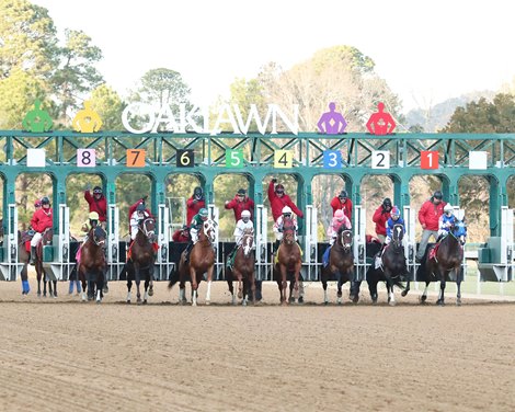 Plainsman wins 2022 Razorback Handicap at Oaklawn Park Plainsman wins 2022 Razorback Handicap at Oaklawn Park