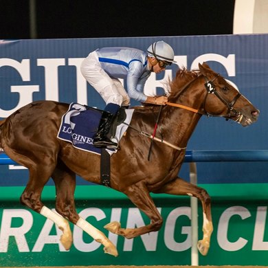 Hypothetical wins the 2022 Firebreak Stakes at Meydan Hypothetical wins the 2022 Firebreak Stakes at Meydan