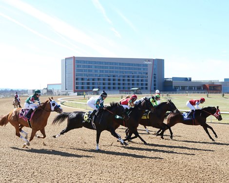 Scenics - Oaklawn Park - 022022 Scenics - Oaklawn Park - 022022