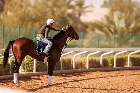 Morning Trackwork 22 Feb 2022<br><br />
Horse: CASA CREED<br><br />
Trainer: WILLIAM MOTT Morning Trackwork 22 Feb 2022<br><br />
Horse: CASA CREED<br><br />
Trainer: WILLIAM MOTT