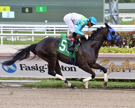Bramble Berry - AOC, Gulfstream Park, February 17, 2022 Bramble Berry - AOC, Gulfstream Park, February 17, 2022