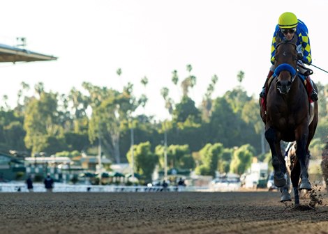 Messier and jockey John Velazquez win the Grade III, $200,000 Robert B. Lewis Stakes, Sunday, February 6, 2022 at Santa Anita Park, Arcadia CA.<br><br />
© BENOIT PHOTO Messier and jockey John Velazquez win the Grade III, $200,000 Robert B. Lewis Stakes, Sunday, February 6, 2022 at Santa Anita Park, Arcadia CA.<br><br />
© BENOIT PHOTO