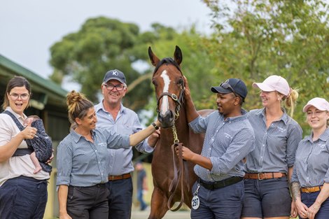 Lot 297, 2022 Magic Millions Adelaide Yearling Sale Lot 297, 2022 Magic Millions Adelaide Yearling Sale