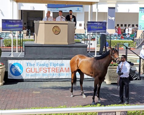 Hip 62, 2022 Fasig-Tipton Gulfstream Sale Hip 62, 2022 Fasig-Tipton Gulfstream Sale