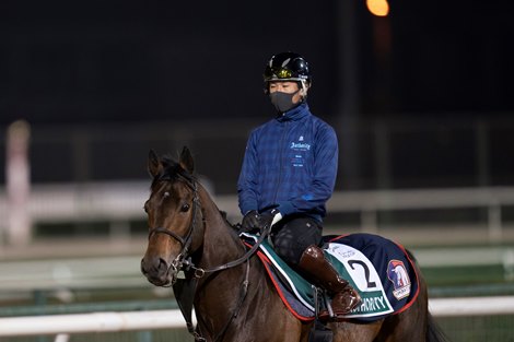 Authority, Sheema Classic entrant, Trackwork, Meydan Race Course, Dubai, UAE, 3-25-22, Mathea Kelley Authority, Sheema Classic entrant, Trackwork, Meydan Race Course, Dubai, UAE, 3-25-22, Mathea Kelley