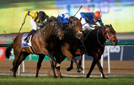 Panthalassa (R) and Lord North (centre) dead heat in the Dubai Turf with Vin De Garde in 3rd<br><br />
Meydan 26.3.22 Pic: Edward Whitaker Panthalassa (R) and Lord North (centre) dead heat in the Dubai Turf with Vin De Garde in 3rd<br><br />
Meydan 26.3.22 Pic: Edward Whitaker
