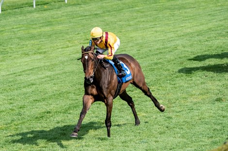 Campanelle and Irad Ortiz win the Giant’s Causeway Stakes at Keeneland Racetrack, Lexington, KY, 4-16-22, Mathea Kelley Campanelle and Irad Ortiz win the Giant’s Causeway Stakes at Keeneland Racetrack, Lexington, KY, 4-16-22, Mathea Kelley