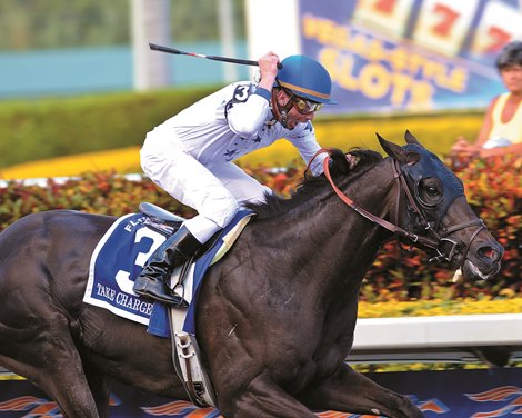 Take Charge Indy wins the 2012 Florida Derby. Take Charge Indy wins the 2012 Florida Derby.