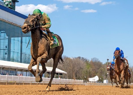 Luna Belle wins the Weber City Miss Stakes Saturday, April 16, 2022 at Laurel Park Luna Belle wins the Weber City Miss Stakes Saturday, April 16, 2022 at Laurel Park
