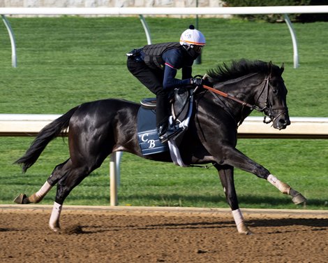Zandon works a half in :48.60 Training at Keeneland on April 23, 2022. Zandon works a half in :48.60 Training at Keeneland on April 23, 2022.