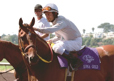 Champion Kona Gold: 30 starts, 14 wins, 7 seconds, 2 thirds, and earnings of $2,293,384. Champion Kona Gold: 30 starts, 14 wins, 7 seconds, 2 thirds, and earnings of $2,293,384.