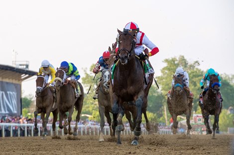Early Voting with Jose Ortiz up wins the Preakness (G1) at Pimlico on May 21, 2022. Early Voting with Jose Ortiz up wins the Preakness (G1) at Pimlico on May 21, 2022.