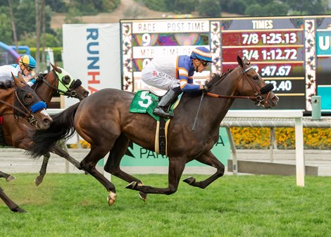 Nick Alexander's Alice Marble and jockey Juan Hernandez win the $100,000 Fran's Valentine Stakes, Saturday, May 28, 2022 at Santa Anita Park, Arcadia CA.<br><br />
© BENOIT PHOTO Nick Alexander's Alice Marble and jockey Juan Hernandez win the $100,000 Fran's Valentine Stakes, Saturday, May 28, 2022 at Santa Anita Park, Arcadia CA.<br><br />
© BENOIT PHOTO