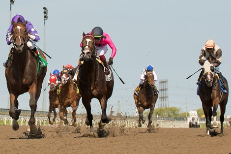 Jockey David Moran guides Artie's Storm to victory in the $175,000 (Grade 2) Stella Artois Eclipse Stakes. Owned by Buttigieg Training Centre and trained by Paul M. Buttigieg, Artie's Storm covered the 1 1/16 miles in 1.42.2. Jockey David Moran guides Artie's Storm to victory in the $175,000 (Grade 2) Stella Artois Eclipse Stakes. Owned by Buttigieg Training Centre and trained by Paul M. Buttigieg, Artie's Storm covered the 1 1/16 miles in 1.42.2.