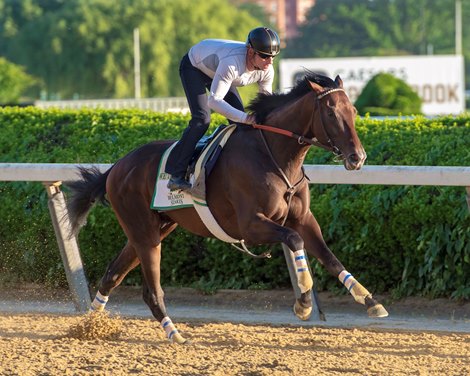 Rodolphe Brisset’s We the People breezes over the main track, Saturday, June 4, 2022, as the colt prepares for the running of the 154th Belmont Stakes, (GR 1), on Saturday, June 11, 2022. Rodolphe Brisset’s We the People breezes over the main track, Saturday, June 4, 2022, as the colt prepares for the running of the 154th Belmont Stakes, (GR 1), on Saturday, June 11, 2022.
