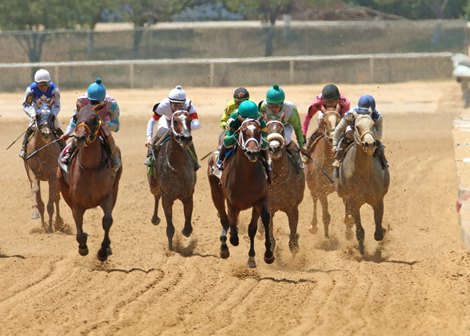 Free Drop Maddy wins the Texas Thoroughbred Association Futurity Sunday, July 17, 2022 at Lone Star Park Free Drop Maddy wins the Texas Thoroughbred Association Futurity Sunday, July 17, 2022 at Lone Star Park