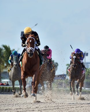 Ce Ce wins the 2022 Princess Rooney Invitational Stakes at Gulfstream Park Ce Ce wins the 2022 Princess Rooney Invitational Stakes at Gulfstream Park
