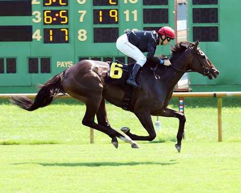 Surprisingly - AOC, Ellis Park, July 23, 2022 Surprisingly - AOC, Ellis Park, July 23, 2022