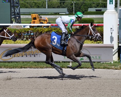 Lynx wins the 2022 FTBOA Florida Sire Desert Vixen Stakes at Gulfstream Park Lynx wins the 2022 FTBOA Florida Sire Desert Vixen Stakes at Gulfstream Park