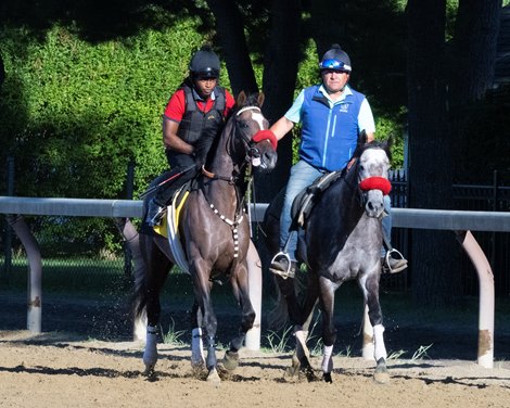 Hot Rod Charlie goes around once on the Oklahoma track his first day out. <br><br />
Training in Saratoga at Saratoga Race Course in Saratoga Springs, N.Y., on Aug. 3, 2022. Hot Rod Charlie goes around once on the Oklahoma track his first day out. <br><br />
Training in Saratoga at Saratoga Race Course in Saratoga Springs, N.Y., on Aug. 3, 2022.