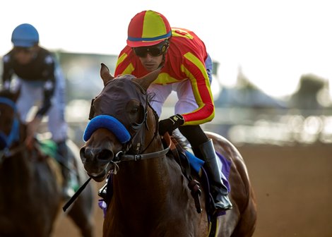 Havnameltdown and jockey Juan Hernandez win the Grade III, $200,000 Best Pal Stakes, Sunday, August 14, 2022 at Del Mar Thoroughbred Club, Del Mar CA.<br>
© BENOIT PHOTO Havnameltdown and jockey Juan Hernandez win the Grade III, $200,000 Best Pal Stakes, Sunday, August 14, 2022 at Del Mar Thoroughbred Club, Del Mar CA.<br>
© BENOIT PHOTO