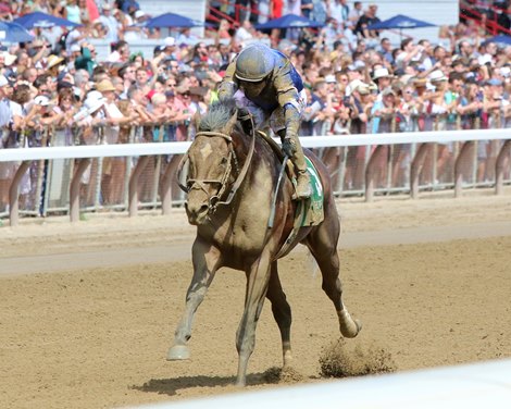 Cody's Wish with Junior Alvarado win the 43rd Running of The Forego (GI) at Saratoga on August 27, 2022. Photo By: Chad B. Harmon Cody's Wish with Junior Alvarado win the 43rd Running of The Forego (GI) at Saratoga on August 27, 2022. Photo By: Chad B. Harmon