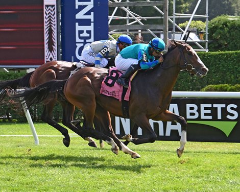 General Jim - Maiden Win, Saratoga, September 3, 2022 General Jim - Maiden Win, Saratoga, September 3, 2022
