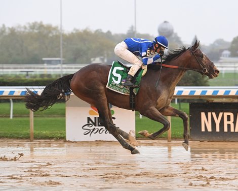 Blazing Sevens wins the Champagne Stakes Saturday, October 1, 2022 at Belmont at The Big A Blazing Sevens wins the Champagne Stakes Saturday, October 1, 2022 at Belmont at The Big A