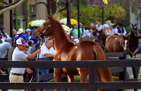 Scenics, 2022 Fasig-Tipton October Sale Scenics, 2022 Fasig-Tipton October Sale