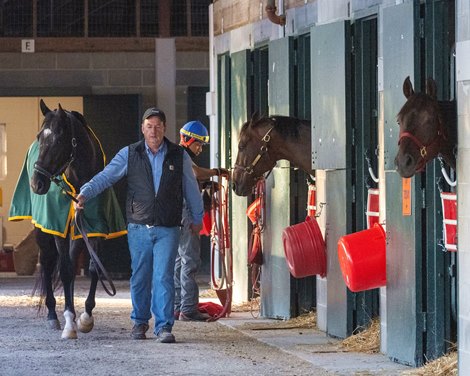Tyler’s Tribe with trainer Tim Martin after training at Keeneland on his first day on the track. <br><br />
Scenes and racing at Keeneland on Oct. 7, 2022. Tyler’s Tribe with trainer Tim Martin after training at Keeneland on his first day on the track. <br><br />
Scenes and racing at Keeneland on Oct. 7, 2022.
