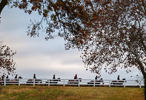 Breeders’ Cup horses based in Europe have their first look at the track after being let out of quarantine at the Keeneland Race Course Tuesday Nov. 1, 2022 in Lexington, KY days before the Breeders’ Cup World Championship of Thoroughbred Racing which will be held at Keeneland Saturday Nov. 4th and 5th 2022. Photo by Skip Dickstein Breeders’ Cup horses based in Europe have their first look at the track after being let out of quarantine at the Keeneland Race Course Tuesday Nov. 1, 2022 in Lexington, KY days before the Breeders’ Cup World Championship of Thoroughbred Racing which will be held at Keeneland Saturday Nov. 4th and 5th 2022. Photo by Skip Dickstein