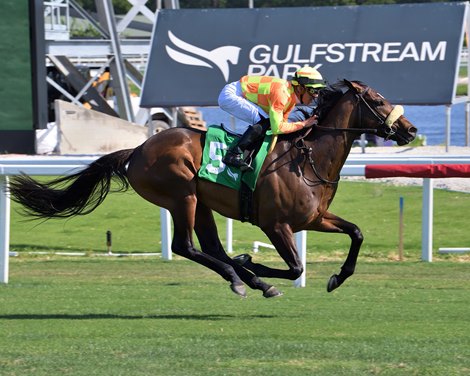 Sbagliato - Maiden Win, Gulfstream Park, December 10, 2022 Sbagliato - Maiden Win, Gulfstream Park, December 10, 2022