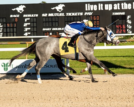 Froshado - MSW - TAM - 122822 Froshado - MSW - TAM - 122822