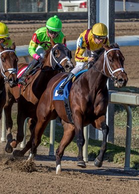 12/26/2022 - Corona Bolt with Florent Geroux aboard leads the field into the stretch and goes on to capture the 73rd running of the Sugar Bowl Stakes at Fair Grounds. Hodges Photography / Jan Brubaker 12/26/2022 - Corona Bolt with Florent Geroux aboard leads the field into the stretch and goes on to capture the 73rd running of the Sugar Bowl Stakes at Fair Grounds. Hodges Photography / Jan Brubaker