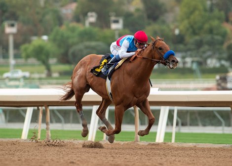 Taiba and jockey Mike Smith win the Grade I Malibu Stakes Monday, December 26, 2022 on opening day at Santa Anita Park, Arcadia, CA. Benoit Photo Taiba and jockey Mike Smith win the Grade I Malibu Stakes Monday, December 26, 2022 on opening day at Santa Anita Park, Arcadia, CA. Benoit Photo