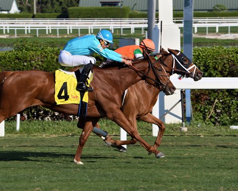 Alpha Bella - MSW - GP - 121122 Alpha Bella - MSW - GP - 121122