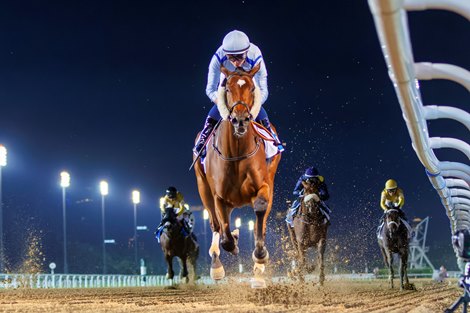 Mimi Kakushi wins the 2023 UAE 1000 Guineas at Meydan Racecourse Mimi Kakushi wins the 2023 UAE 1000 Guineas at Meydan Racecourse