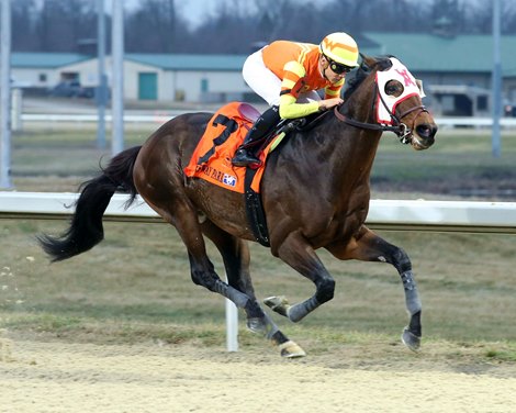 Visitant wins the Holiday Cheer Stakes on Sunday, January 1, 2023 at Turfway Park Visitant wins the Holiday Cheer Stakes on Sunday, January 1, 2023 at Turfway Park