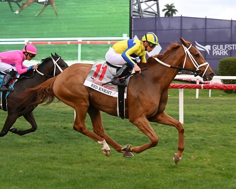 Red Knight wins the 2023 William L. McKnight Stakes at Gulfstream Park Red Knight wins the 2023 William L. McKnight Stakes at Gulfstream Park