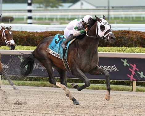 Endorsed wins the 2023 Fred W. Hooper Stakes at Gulfstream Park Endorsed wins the 2023 Fred W. Hooper Stakes at Gulfstream Park