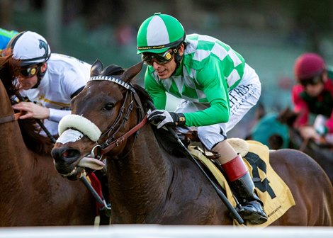 Coaling Road and jockey John Velazquez win the $200,000 Unusual Heat Turf Classic, Saturday, January 7, 2023 at Santa Anita Park, Arcadia CA.<br><br />
© BENOIT PHOTO Coaling Road and jockey John Velazquez win the $200,000 Unusual Heat Turf Classic, Saturday, January 7, 2023 at Santa Anita Park, Arcadia CA.<br><br />
© BENOIT PHOTO