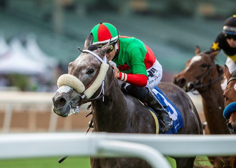 Grazed My Heart and jockey Hector Berrios, outside (#3) , nose out Sell the Dream (Flavien Prat) inside, to win the $200,000 Leigh Ann Howard California Cup Oaks Saturday, January 7, 2023 at Santa Anita Park, Arcadia, CA.<br><br />
Benoit Photo Grazed My Heart and jockey Hector Berrios, outside (#3) , nose out Sell the Dream (Flavien Prat) inside, to win the $200,000 Leigh Ann Howard California Cup Oaks Saturday, January 7, 2023 at Santa Anita Park, Arcadia, CA.<br><br />
Benoit Photo