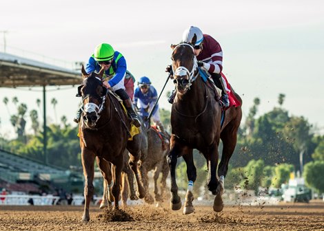 Thirsty John and jockey Juan Hernandez, right, hold off Giver Not a Taker (Flavien Prat up) to win the $200,000 California Cup Derby Saturday, January 7, 2023 at Santa Anita Park, Arcadia, CA. <br><br />
Benoit Photo Thirsty John and jockey Juan Hernandez, right, hold off Giver Not a Taker (Flavien Prat up) to win the $200,000 California Cup Derby Saturday, January 7, 2023 at Santa Anita Park, Arcadia, CA. <br><br />
Benoit Photo