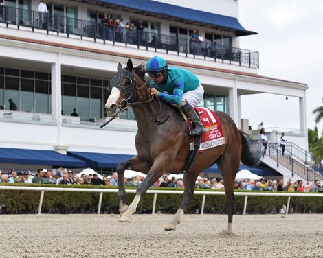 General Jim wins the 2023 Swale Stakes at Gulfstream Park General Jim wins the 2023 Swale Stakes at Gulfstream Park