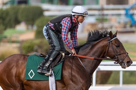 2023 Saudi Cup<br><br />
Casa Creed - Morning Trackwork - Tuesday 21st February 2023 2023 Saudi Cup<br><br />
Casa Creed - Morning Trackwork - Tuesday 21st February 2023