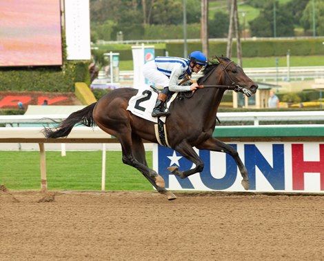 Geaux Rocket Ride - Maiden Win, Santa Anita, January 29, 2023 Geaux Rocket Ride - Maiden Win, Santa Anita, January 29, 2023