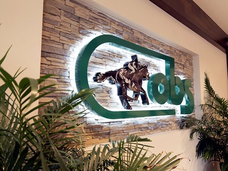 Scenics, 2023 OBS Spring Two-Year-Olds in Training Sale Scenics, 2023 OBS Spring Two-Year-Olds in Training Sale